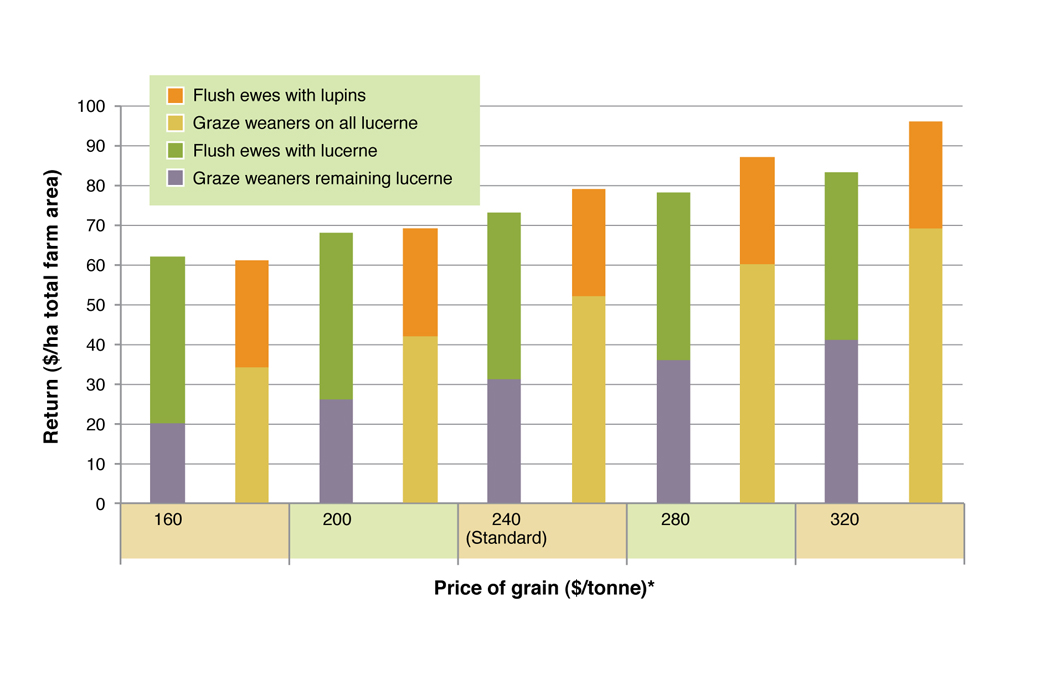 Comparison of returns from flushing ewes and grazing weaners on green feed under five grain price scenarios. See Table 2 for assumptions used in this analysis Figure 6. Comparison of returns from flushing ewes and grazing weaners on green feed under five grain price scenarios. See Table 2 for assumptions used in this analysis.