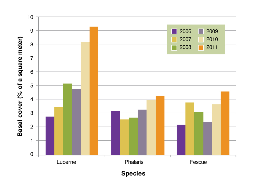 Figure 3. Basal cover (%) of lucerne, phalaris and tall fescue pastures 2006-2011.