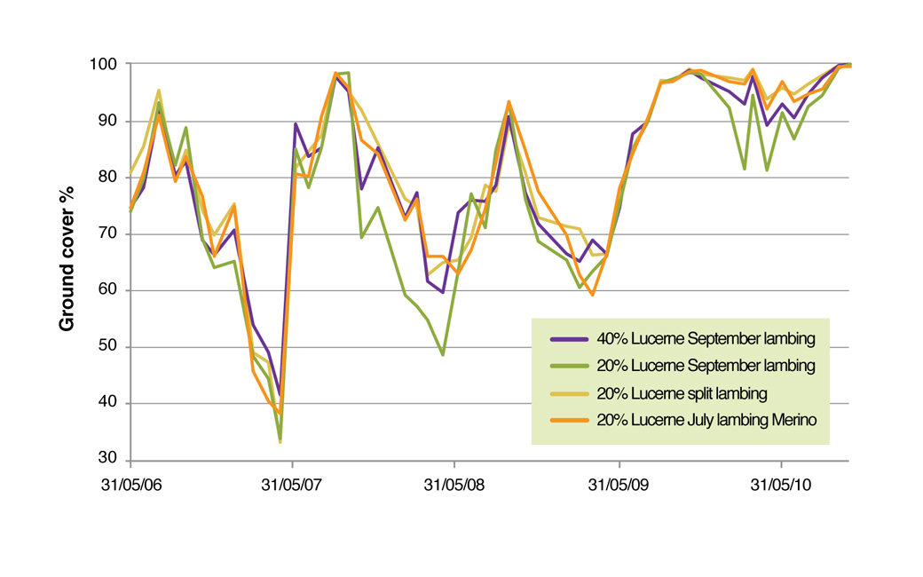 Figure 4. Groundcover (%) in lucerne pasture for four sheep systems 2006-2010.