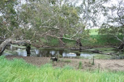 Wannon River