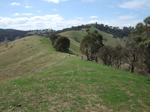 Eagle Ridge north and south faces fenced and managed separately