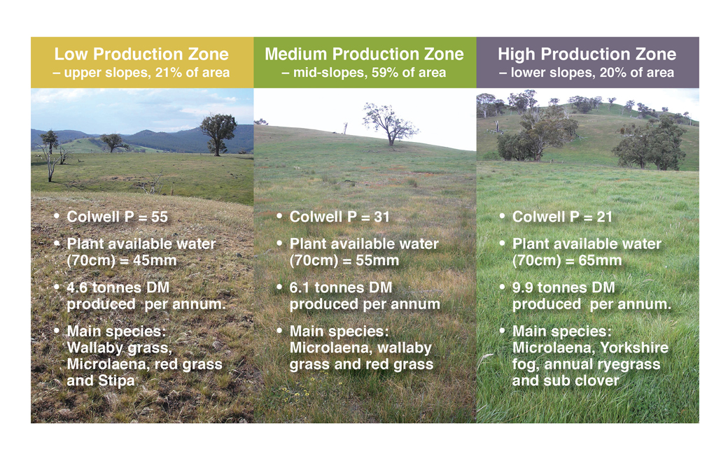 Figure 2. Production zones at Orange Proof Site divided according to soil and topography characteristics which affected plant available water in late spring, pasture composition, pasture production and soil fertility.