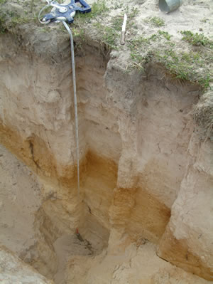 Figure 5. Soil profiles at Albany Proof Site where Deep sands were sown to kikuyu.