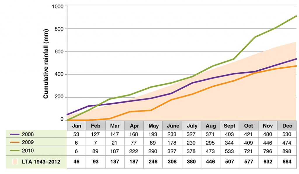 Figure 3. Holbrook cumulative rainfall in the years of the experiment compared to average (extracted from GrassGro, 1943-2012).