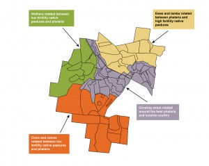 Figure 7. Allocation of stock to pasture types and land classes at Woomargama Station (Chris Mirams, 2012).