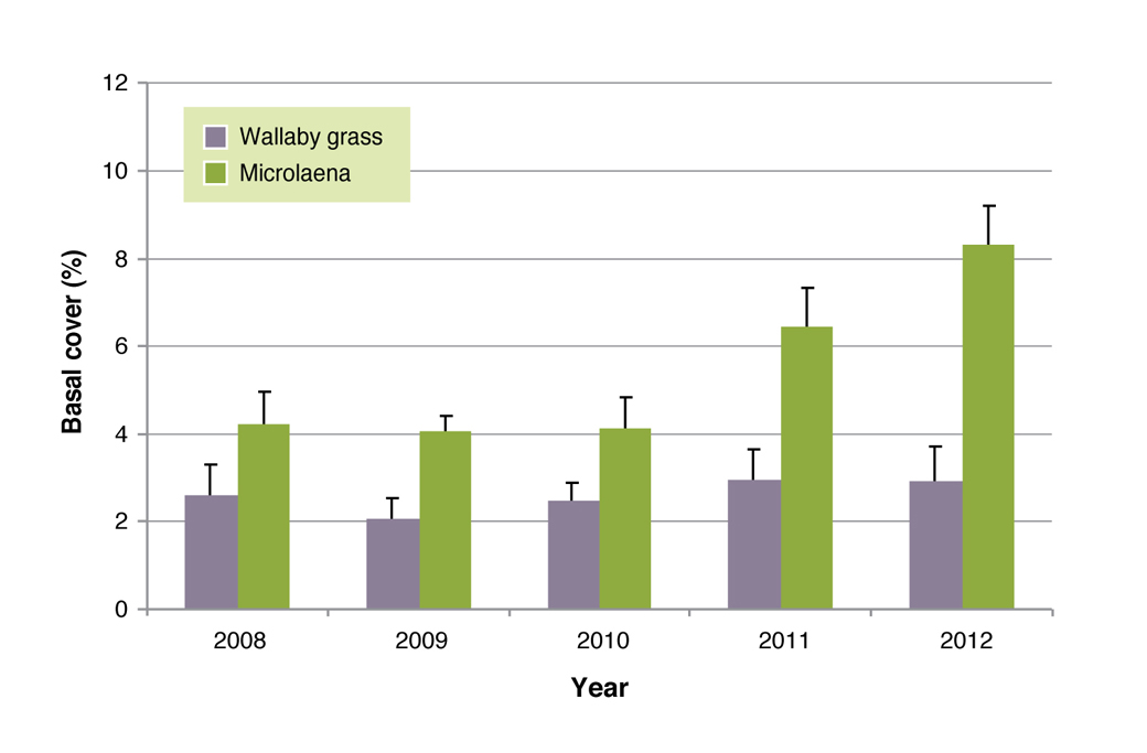 Average basal frequency of Microlaena and wallaby grass averaged over all treatments Figure 10: Average basal frequency of Microlaena and wallaby grass averaged over all treatments. Error bars indicate differences between years.