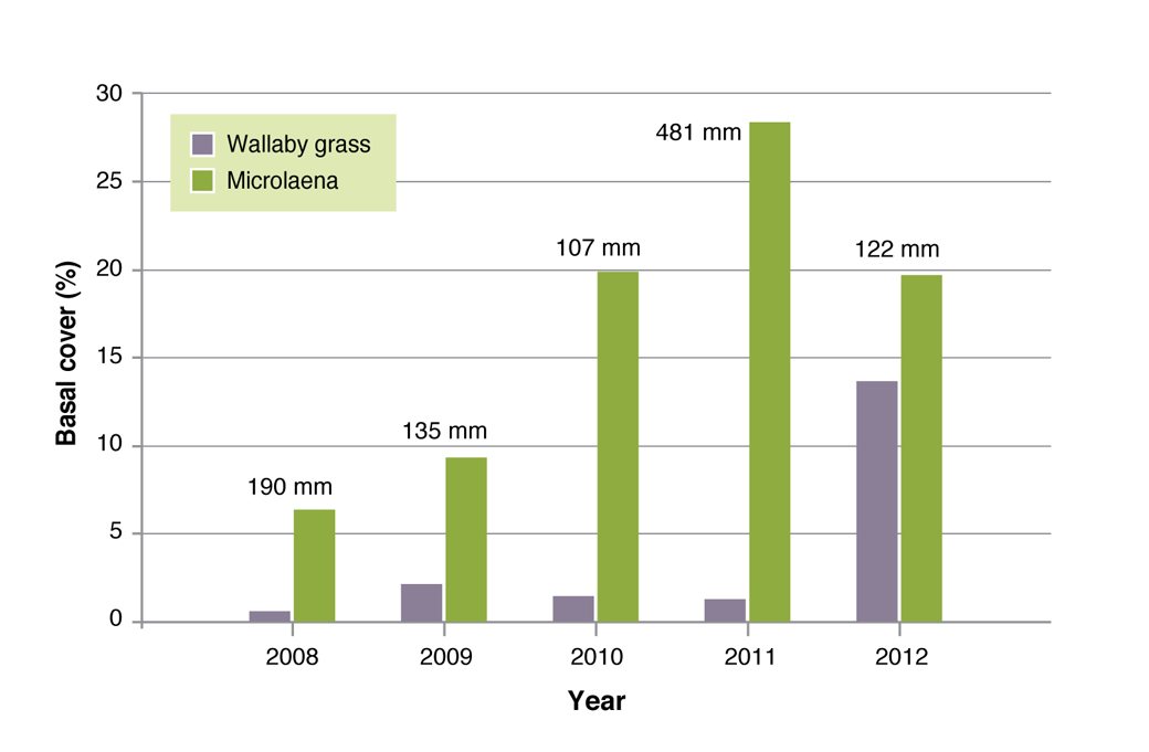 Basal cover (%) for weeping grass and wallaby grass, annually for the period of the Chiltern EverGraze Proof Site experiment Figure 11. Basal cover (%) for weeping grass and wallaby grass, annually for the period of the Chiltern EverGraze Proof Site experiment. Figures above the bars represent summer (December, January and February) rainfall (mm).