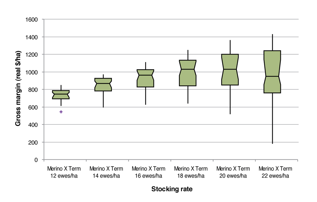 Box plots of gross margins ($/ha) at different stocking rates for the August lambing Merino x Terminal system on the EverGraze Perennial Ryegrass System Figure 3: Box plots of gross margins ($/ha) at different stocking rates for the August lambing Merino x Terminal system on the EverGraze Perennial Ryegrass System (Warn 2011). Box plots represent median, range and interquartile range, + indicates outliers.