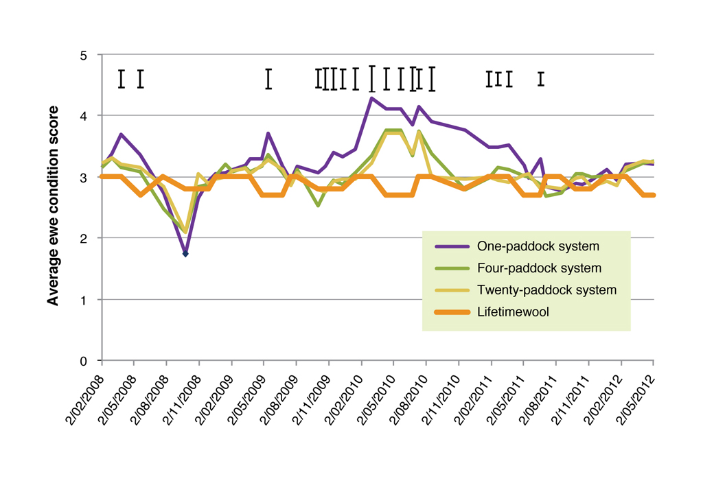 Ewe condition scores for the 1-Paddock, 4-Paddock and 20-Paddock grazing systems, with southern NSW Lifetimewool condition score targets presented Figure 3. Ewe condition scores for the 1-Paddock, 4-Paddock and 20-Paddock grazing systems, with southern NSW Lifetimewool condition score targets presented. The bars above the graph indicate the amount that treatments need to be different to be significant.