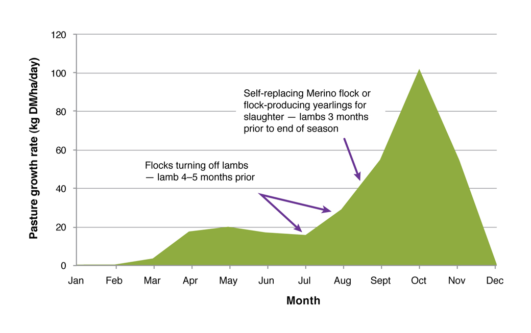 Figure 4: The optimum time of lambing for a sheep enterprise where November is considered the end of the growing season (Warn et al. 2006).