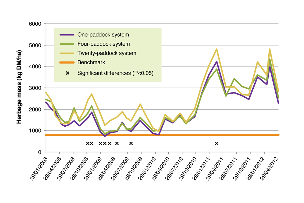 Figure 4: Herbage mass for 1-Paddock, 4-Paddock and 20-Paddock treatments. The minimum herbage mass benchmark of 800 kg DM/ha and significant differences (P