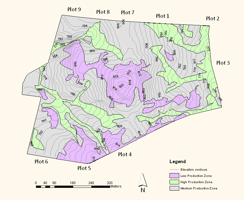 Figure 2: High (green), medium (orange) and low (purple) production zones and elevation contours at Panuara.
