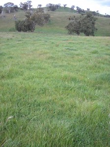 Orange Proof Site.  Landscape variability is a key feature of the Central Tablelands region.