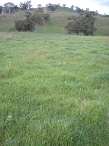 Orange Proof Site.  Landscape variability is a key feature of the Central Tablelands region.