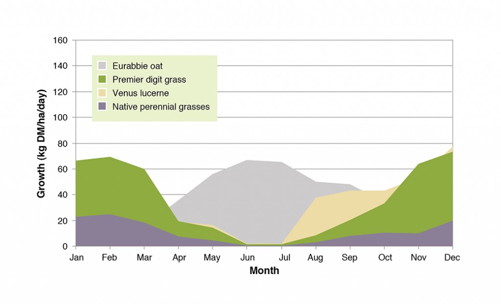 Figure 3. Daily growth rates near Tamworth, NSW, for four forages showing how the mix of species contribute to growth at different times of the year, helping to meet animal requirements (Murphy et al. 2010)