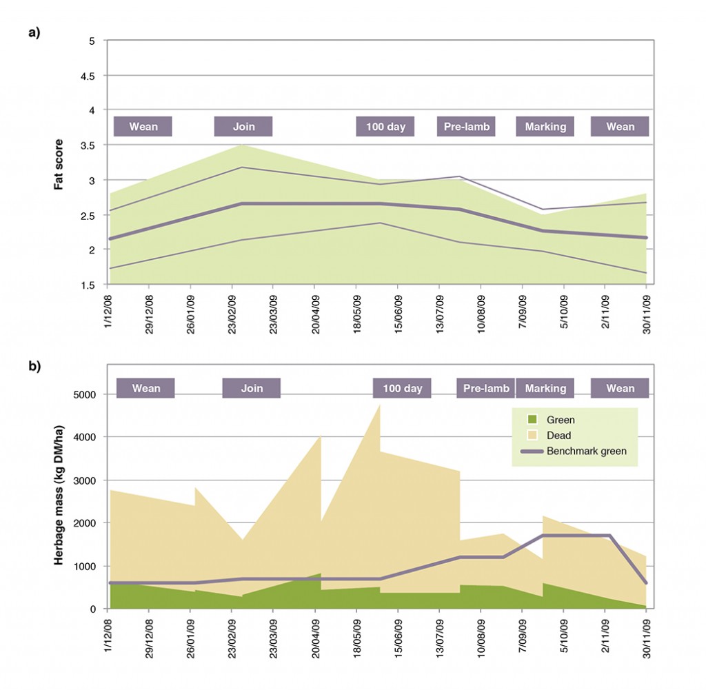 Figure 5. Merino ewes grazing an unfertilised native pasture without supplementation in 2008-09 showed a)  fat score profile that was well below target scores, because b) the level of green dry matter available was below Prograze targets for green herbage mass (see Prograze ReferenceTable 7)