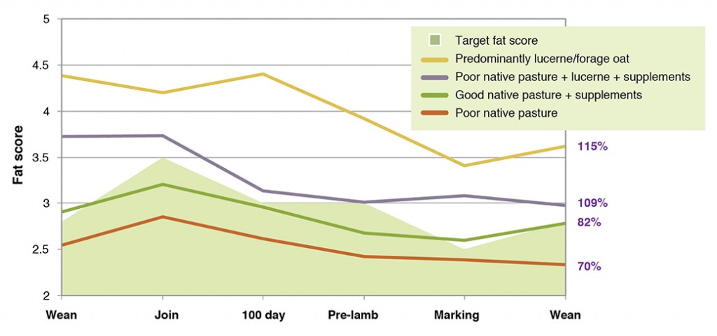 Figure 6. Actual fat score (FS) and target FS (grey shaded) of autumn-joined ewes from weaning to weaning grazing a range of different pasture types monitored at Proof Site Farms in 2009. Final weaning percentage (%) is shown for each grouping.