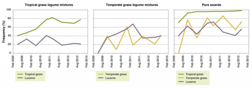 Figure 6. Plant frequencies (%) of tropical grass (Premier digit), temperate grass (Kasbah cocksfoot), and lucerne (Venus) grown as mixtures or pure swards ( May 2009 – Sep 2012).