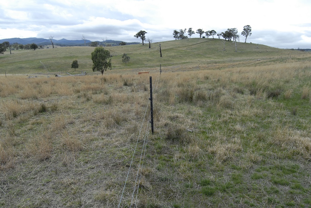 Photo 4. Subdivision fencing can be simple and cheap if it is electric.