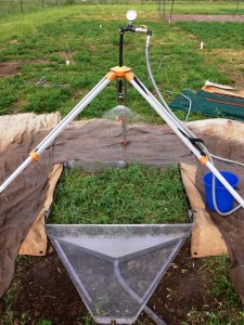 Rainfall Simulation on Lucerne_Grass Mixutre Spring 2010