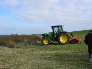 Mulcher used for spiny rush control