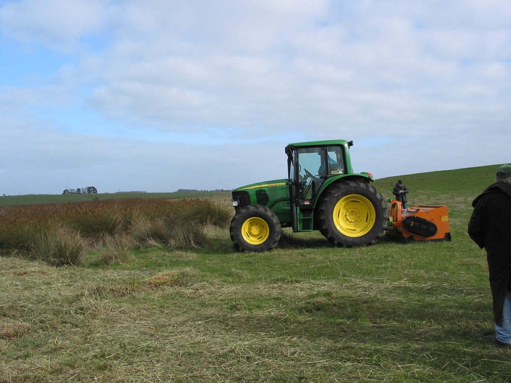 Mulcher used for spiny rush control Mulcher used for spiny rush control