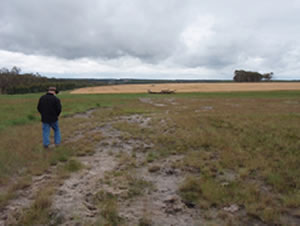 In 2008 after tall wheat grass was planted across and up slope of the site.