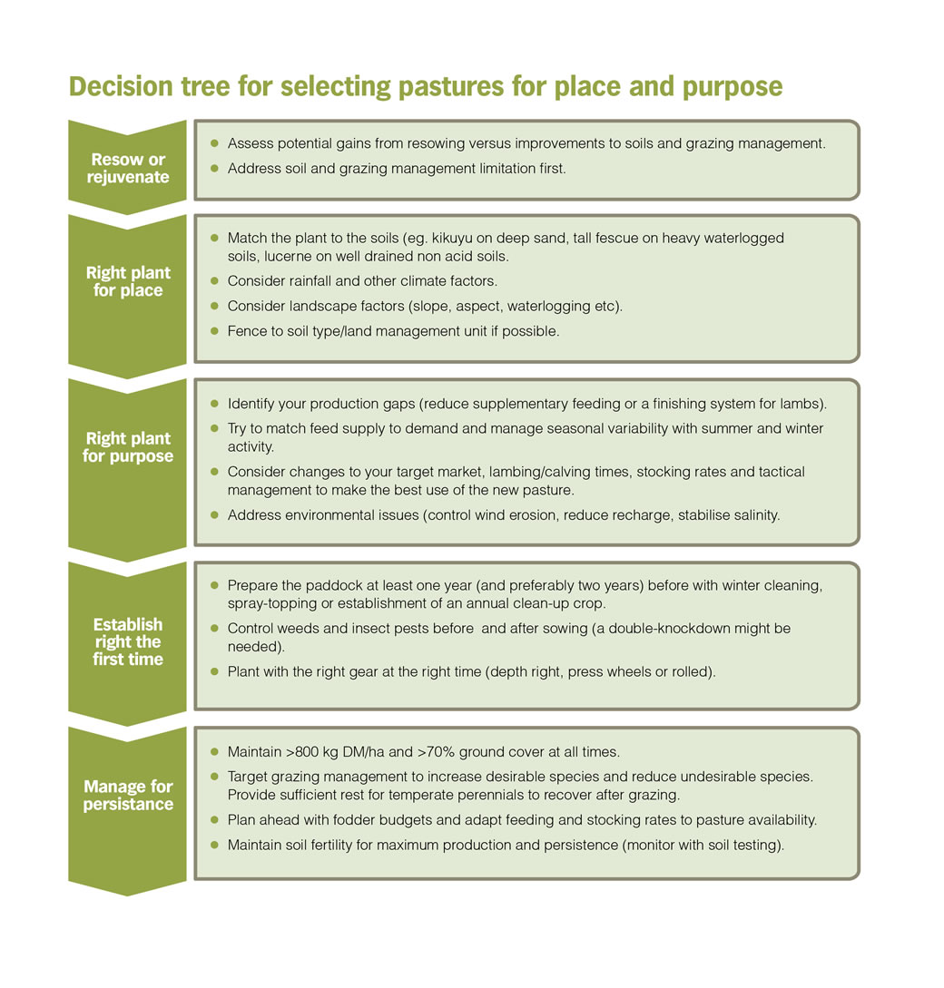 Decision Tree for selecting pastures for place and purpose Decision Tree for selecting pastures for place and purpose