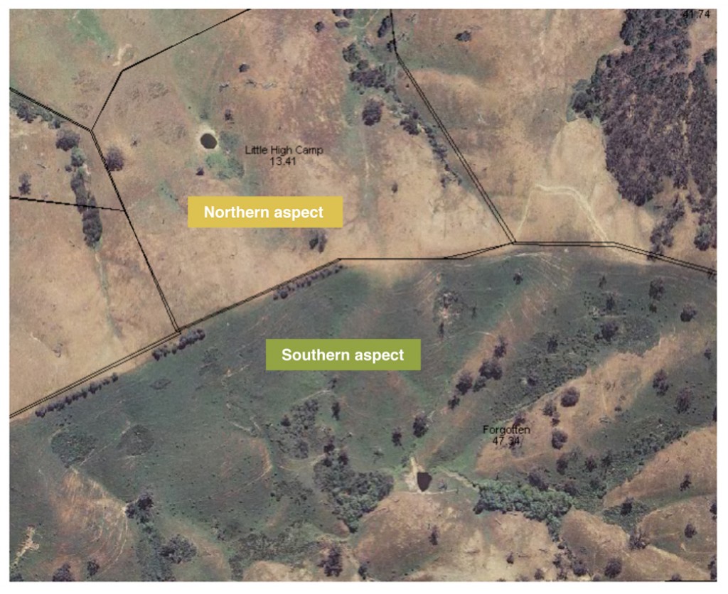 Northern and southern aspects in late spring. Fencing to divide the aspects significantly increases utilisation and protects the northern slopes from erosion.