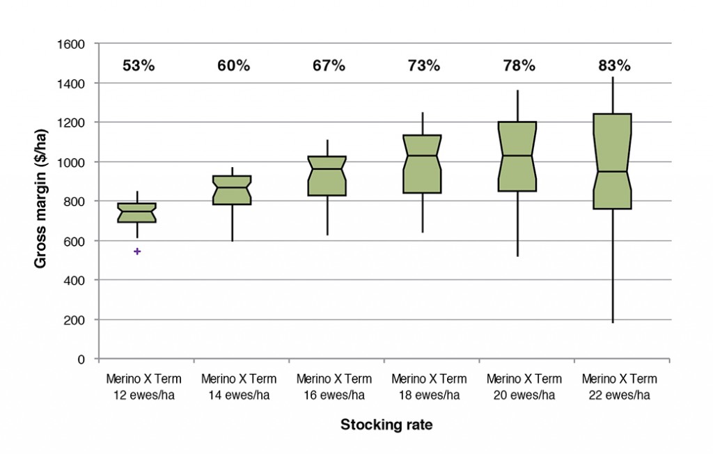 Figure 1.  Box plots of gross margins ($/ha) at different stocking rates for the August lambing Merino x Terminal system on the EverGraze Perennial Ryegrass System at Hamilton  (Warn 2011).  Box plots represent median, range and interquartile range, + indicates outliers. The percentages above the box plots indicate pasture utlisation.