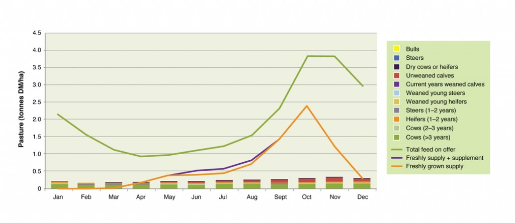 Figure 6. Feed demand (bars) and feed supply (lines) for autumn calving cows with weaners sold at nine months of age.