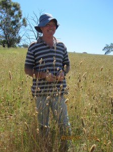 John Keogh in the under-grazed phalaris paddock after a good season in 2010