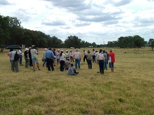 Albury Wodonga EverGraze Regional Advisory Group standing in a 4-paddock rotation at Chiltern