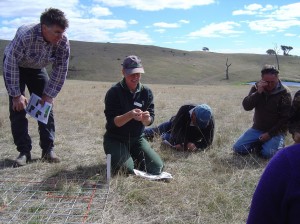 Site Coordinator Julie Andrew and site host Mark McKew identify native perennial grasses at the Warrak Supporting Site