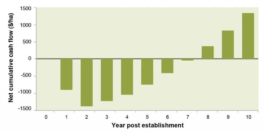 Figure 4. Net cumulative cash flow at Tallangatta Valley Supporting Site