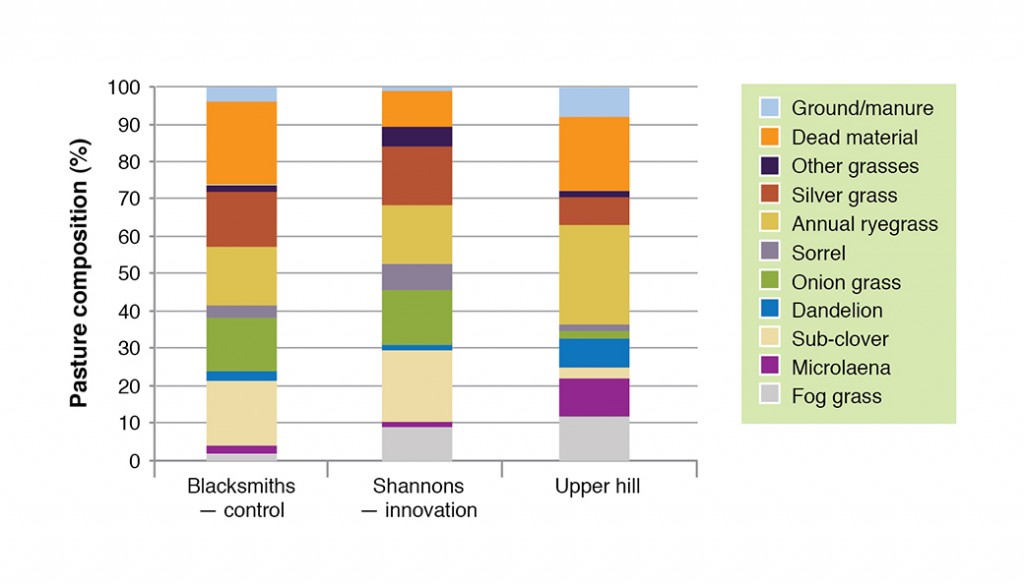 Pasture composition at Murmungee