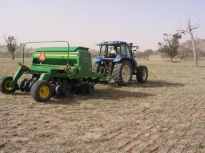 Direct drilling sub clover into lucerne/fescue pasture