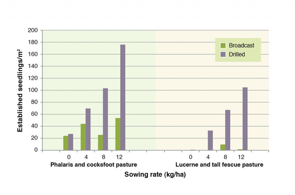 Number of seedlings established with broadcast or direct drilled sub clover 