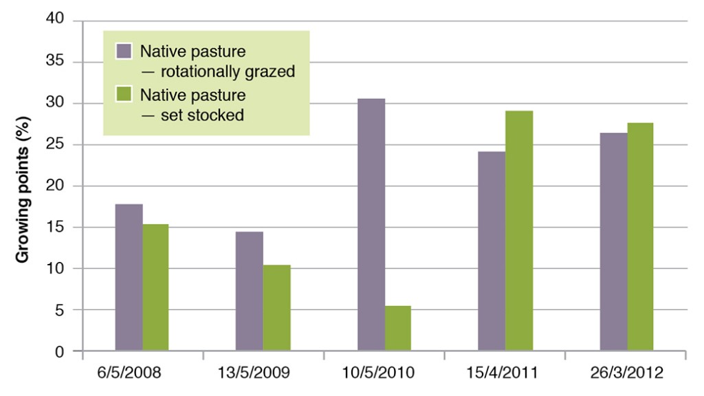 Figure 2. Basal cover at fixed points for native pastures (predominately Microlaena) at Tallangatta Valley Supporting Site