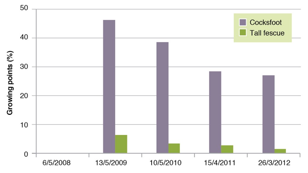 Figure 3. Frequency (presence/absence) of tall fescue and cocksfoot pastures at Tallangatta Valley Supporting Site