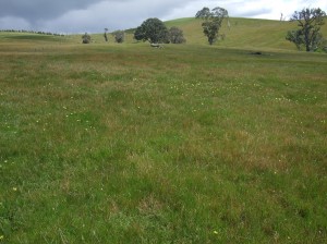 Warrak Supporting Site is located on undulating-steep hill country