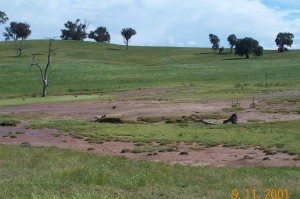 Class 3 (large areas of bare ground) 