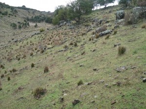 The gorge at Youngs property in July 2008