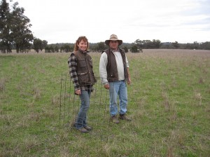 Gary McLarty and Chris Aldridge looking at Paddock 3, the autumn 2010 sown phalaris, in June 2011.