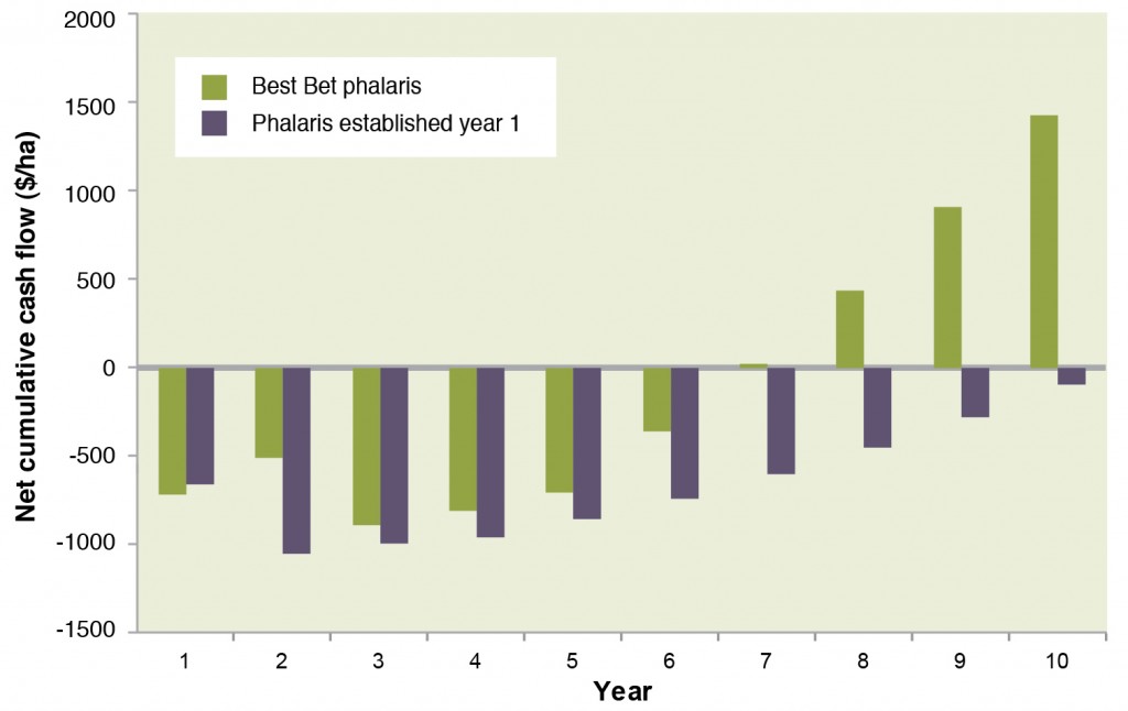 Figure 1. Cumulative net cash flow for establishing phalaris in year 1 and Peter’s Best bet system