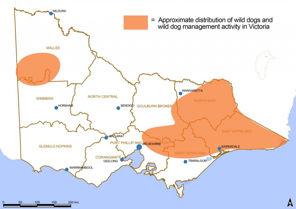 Figure 2. Distribution and activity of wild dog management in Victoria