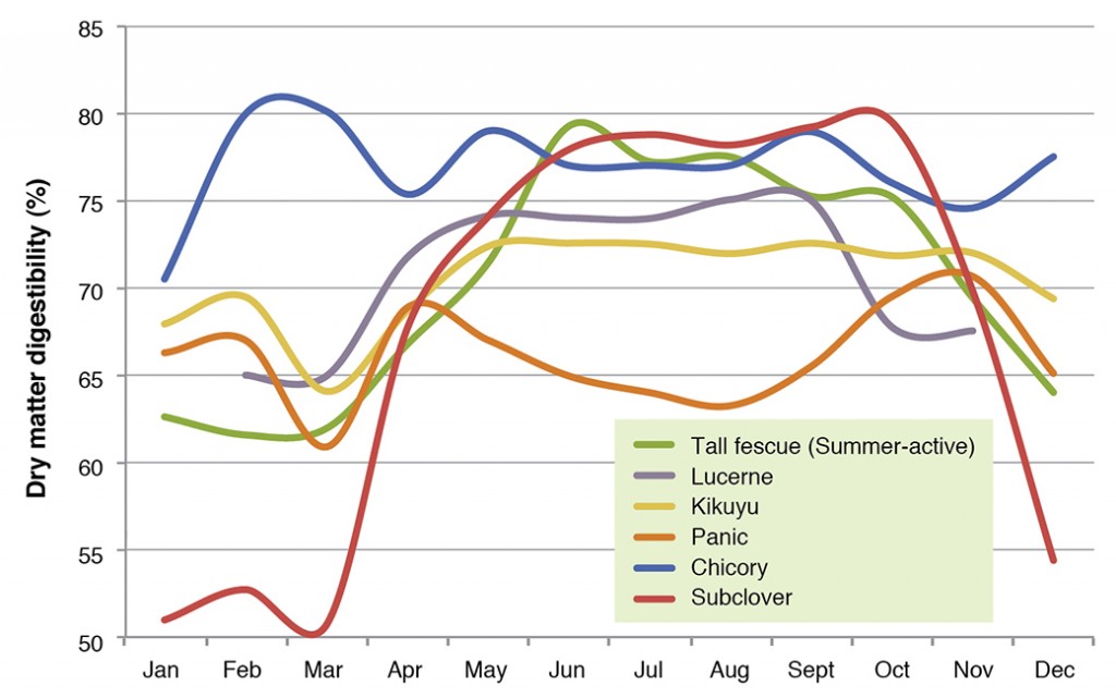 Figure 2: Percent Dry matter digestibility (%DMD) of perennial species.
