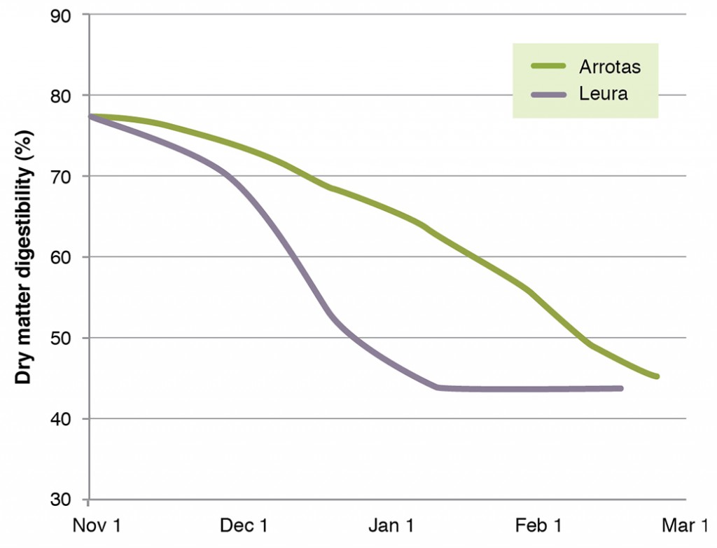 Figure 6. Relative nutritive value of sub clover and Arrow leaf clover